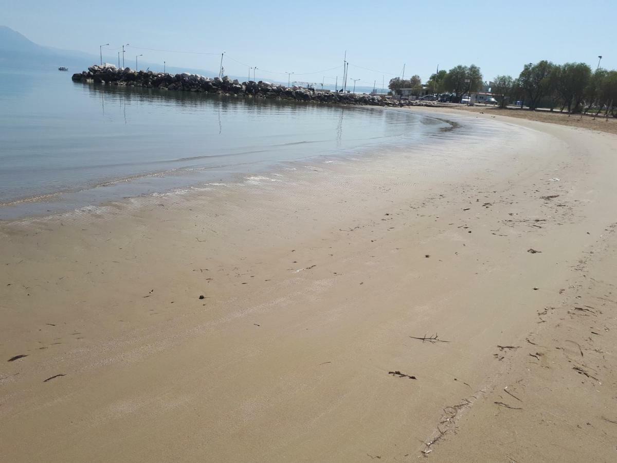 Vrachati Sea Front House Káto Ássos المظهر الخارجي الصورة